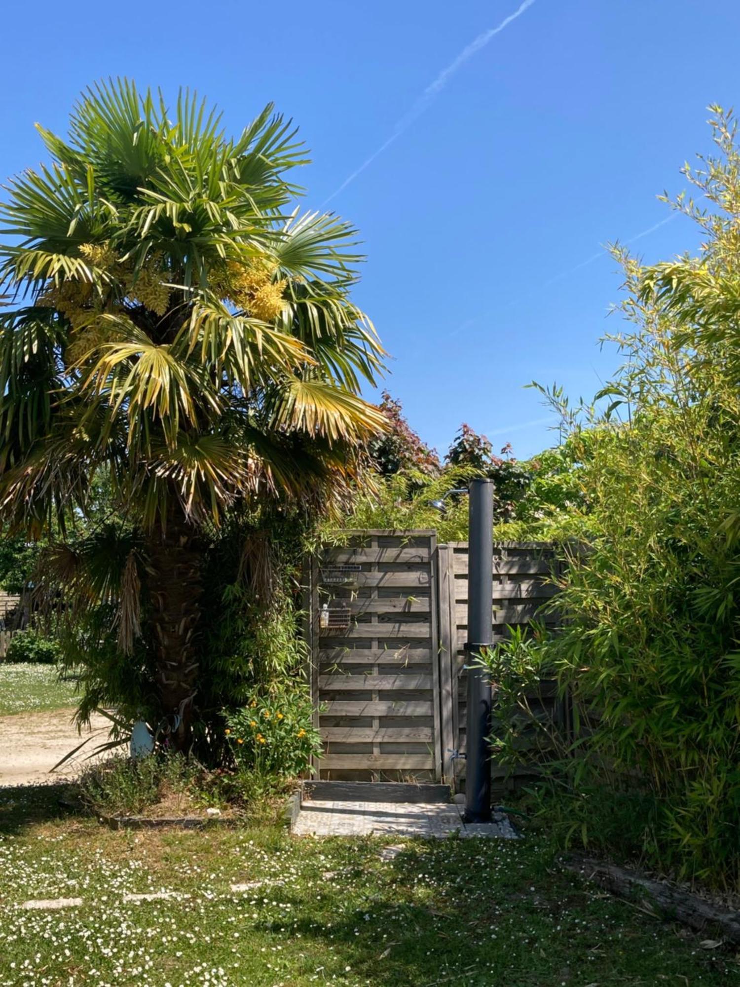 Le Chemin De La Loire Hotel Amboise Eksteriør billede